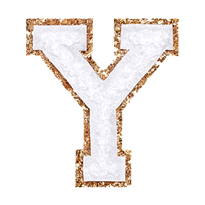 Varsity White Glitter Letter Y
